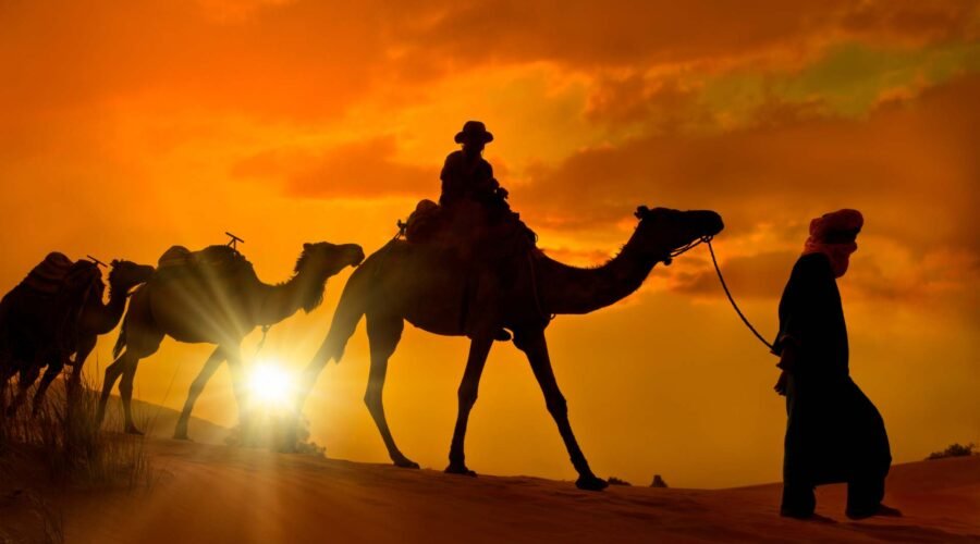 Camel ride in Merzouga